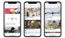 短视频新平台,颠覆传统，引领潮流的传播新纪元
