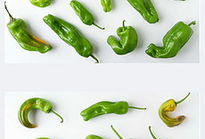 吃瓜爆料的模板图片大全,吃瓜爆料模板图片大全，带你领略幕后真相