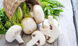 蘑菇视频爆料吃瓜51,吃瓜51背后的惊人真相