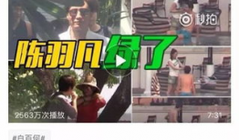 劲爆吃瓜爆料视频大全,揭秘娱乐圈幕后真相