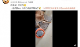 男网红吃瓜爆料视频大全,揭秘娱乐圈幕后真相
